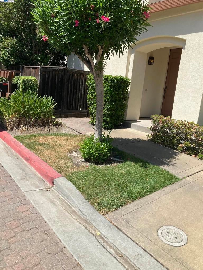 Photo of Listing #41093004