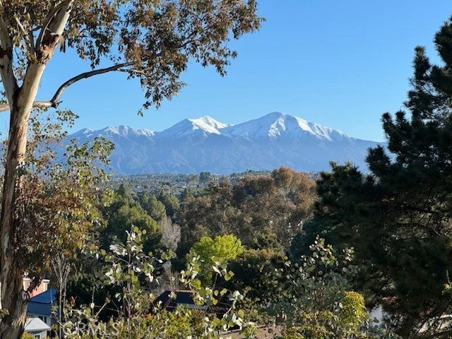 Photo of Listing #OC25081336