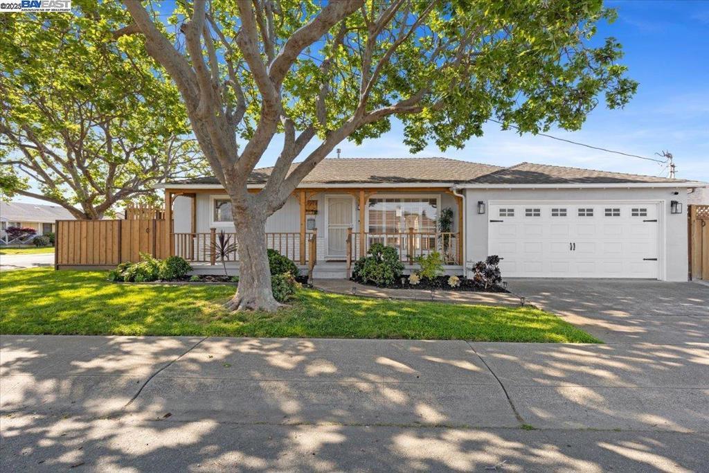 Photo of Listing #41093648