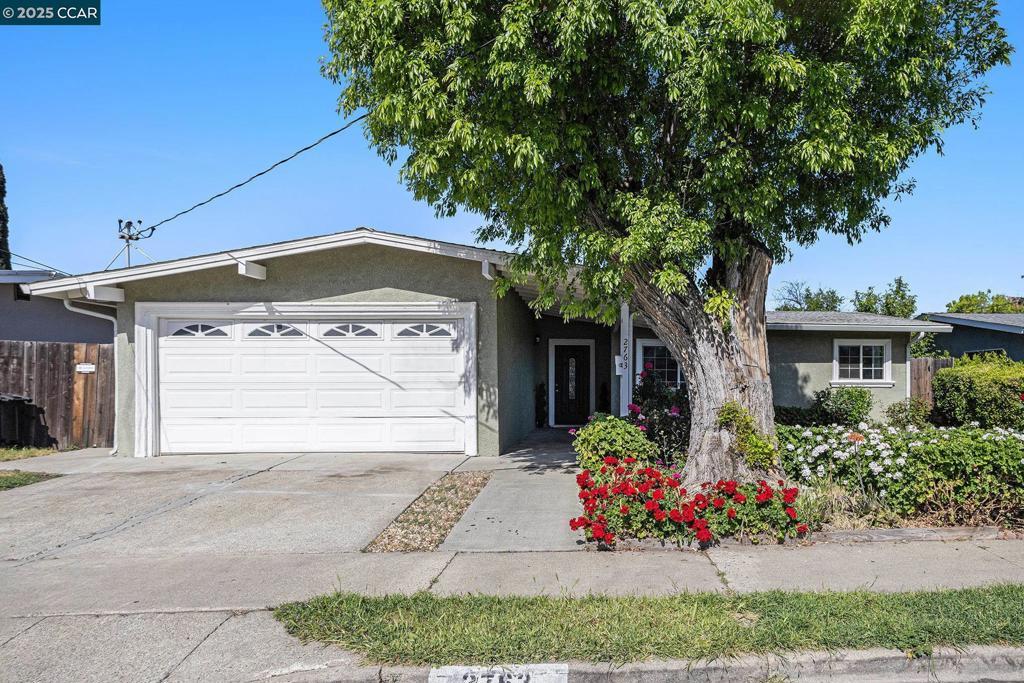 Photo of Listing #41093671