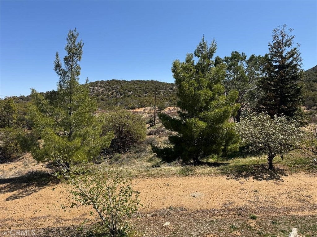 Photo of Listing #SW25084800