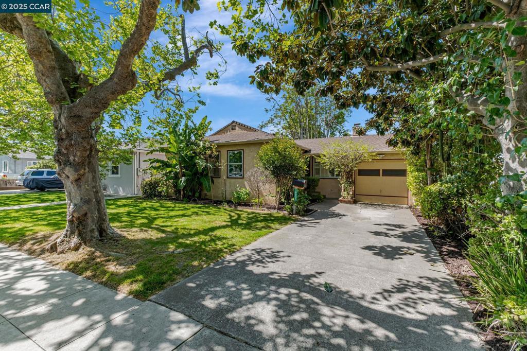 Photo of Listing #41093900