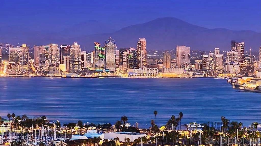 Photo of Listing #250024933SD