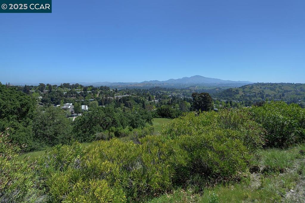 Photo of Listing #41094163