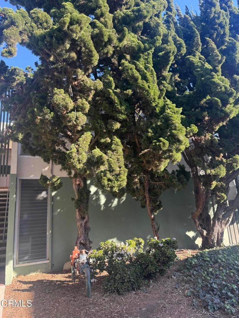 Photo of Listing #V1-29470