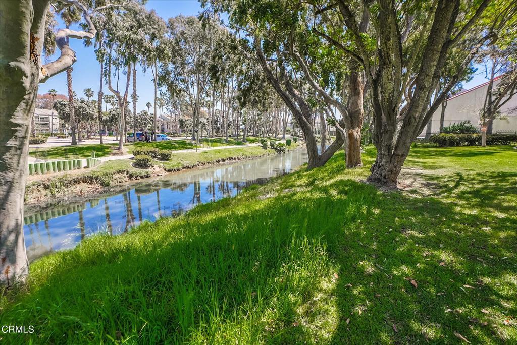 Photo of Listing #V1-29474