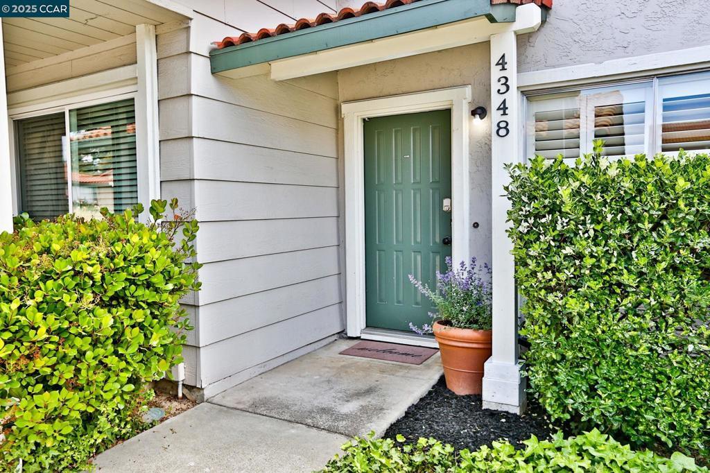 Photo of Listing #41094369