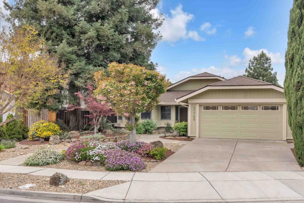 Photo of Listing #ML82003681