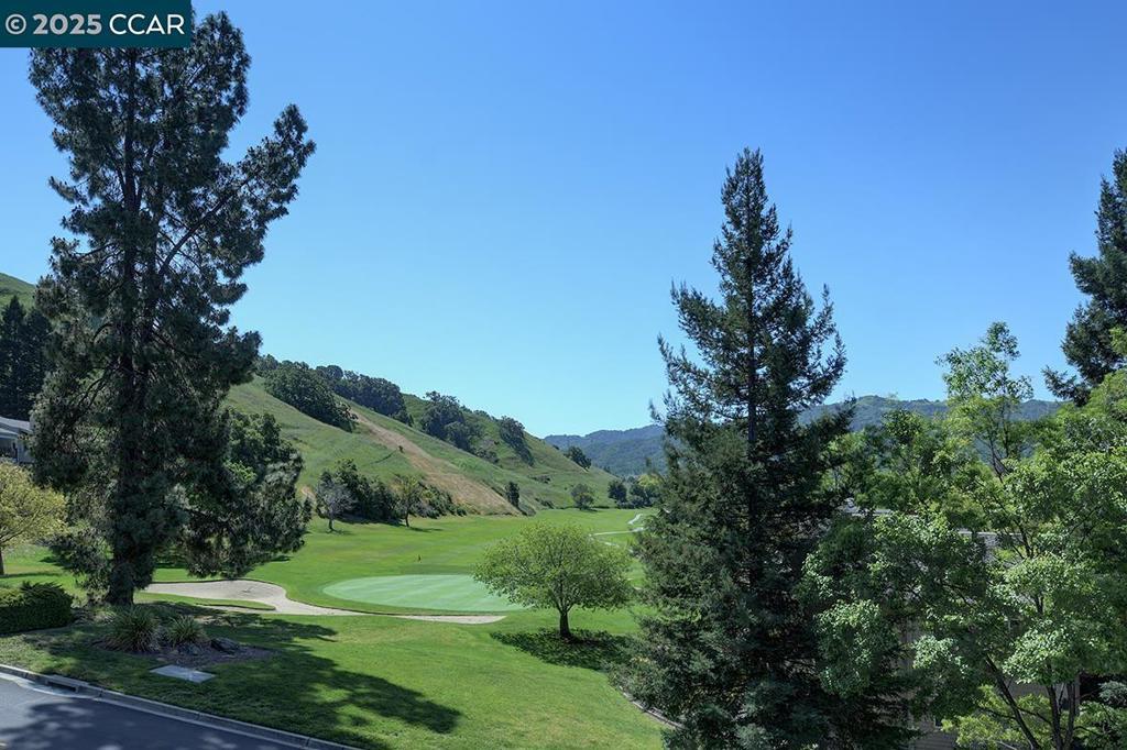 Photo of Listing #41094429