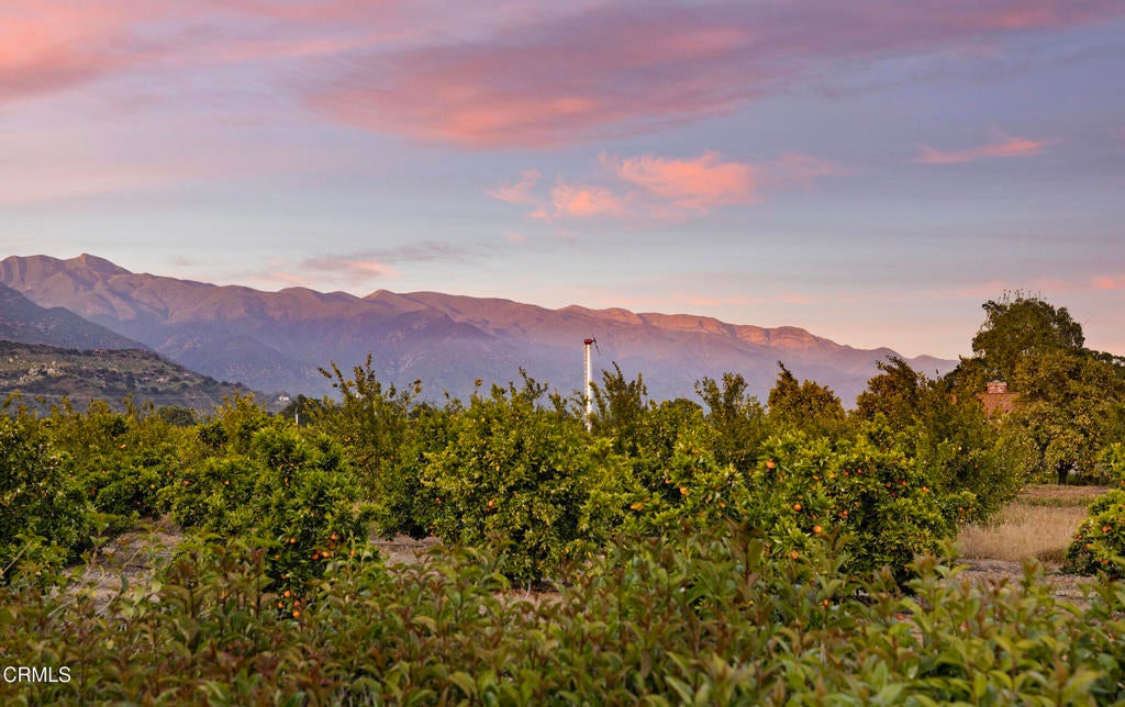 Photo of Listing #V1-29543