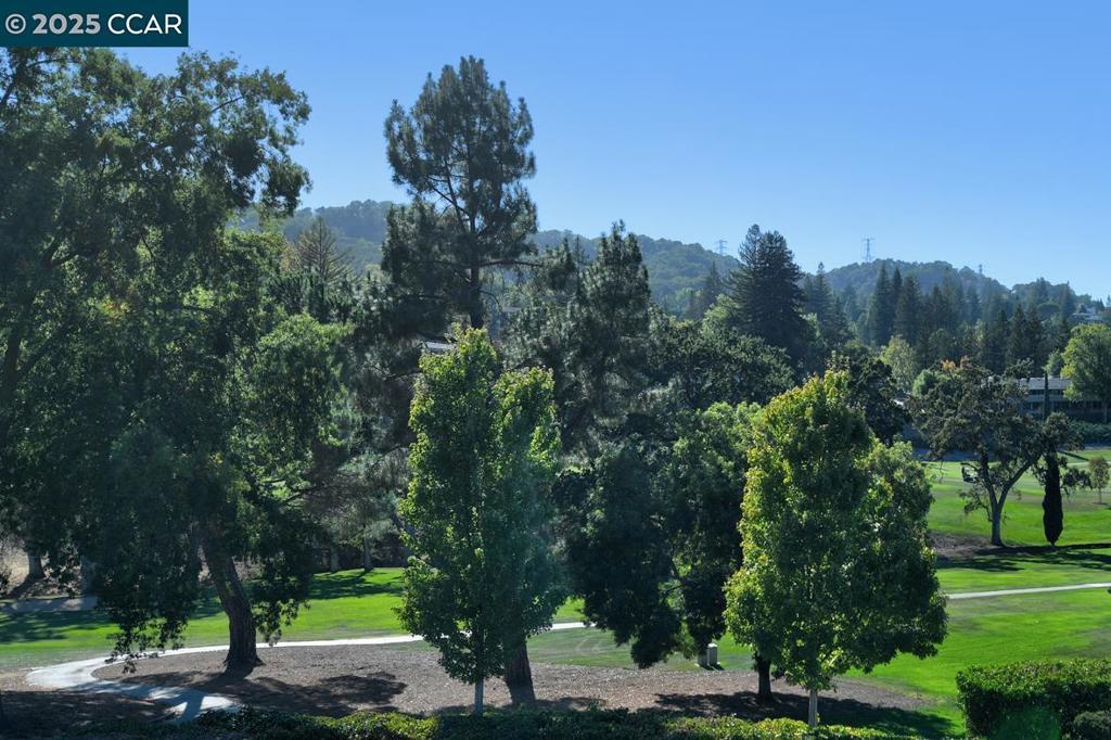 Photo of Listing #41094891