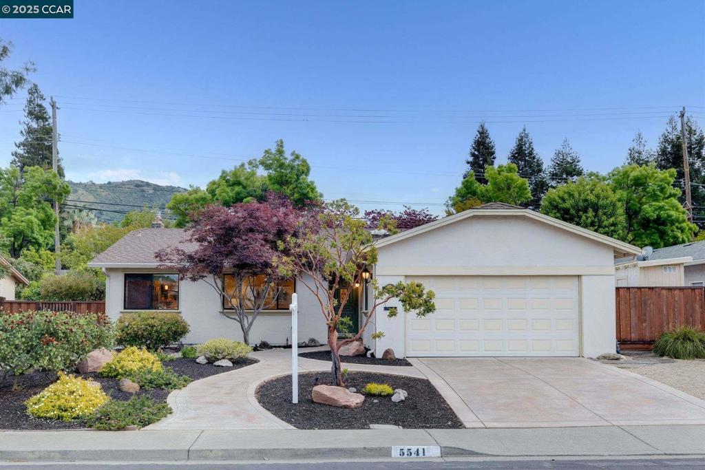 Photo of Listing #41095044