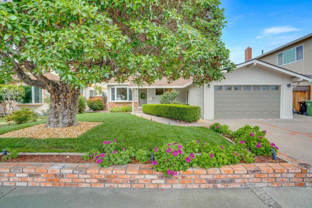 Photo of Listing #41095345