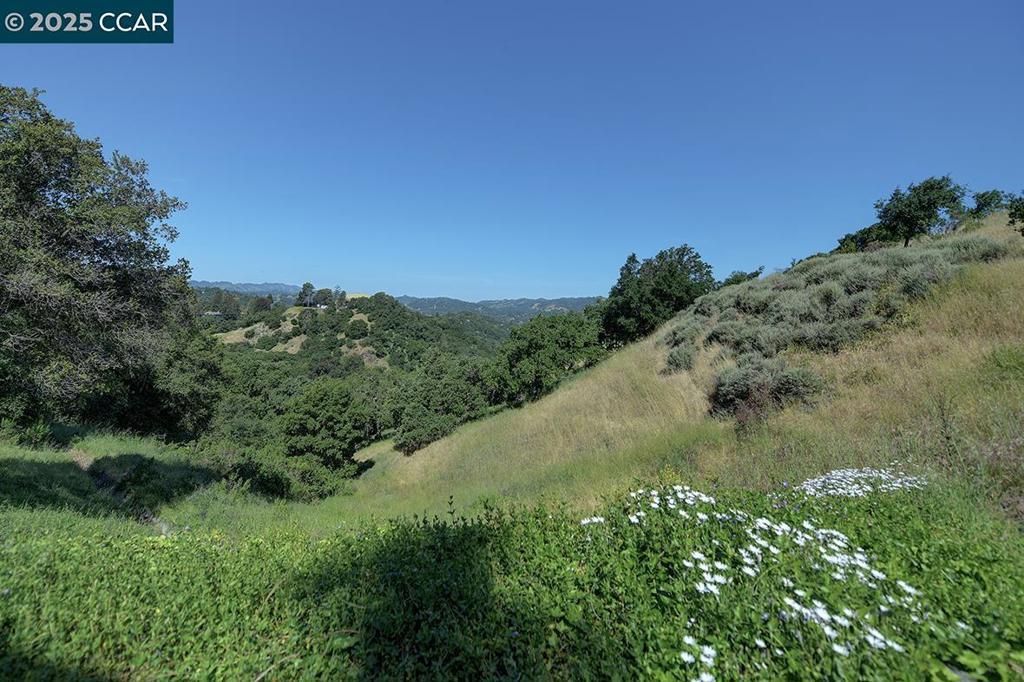 Photo of Listing #41095422