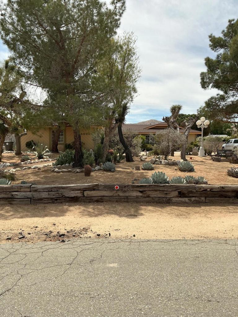 Photo of Listing #219129297DA