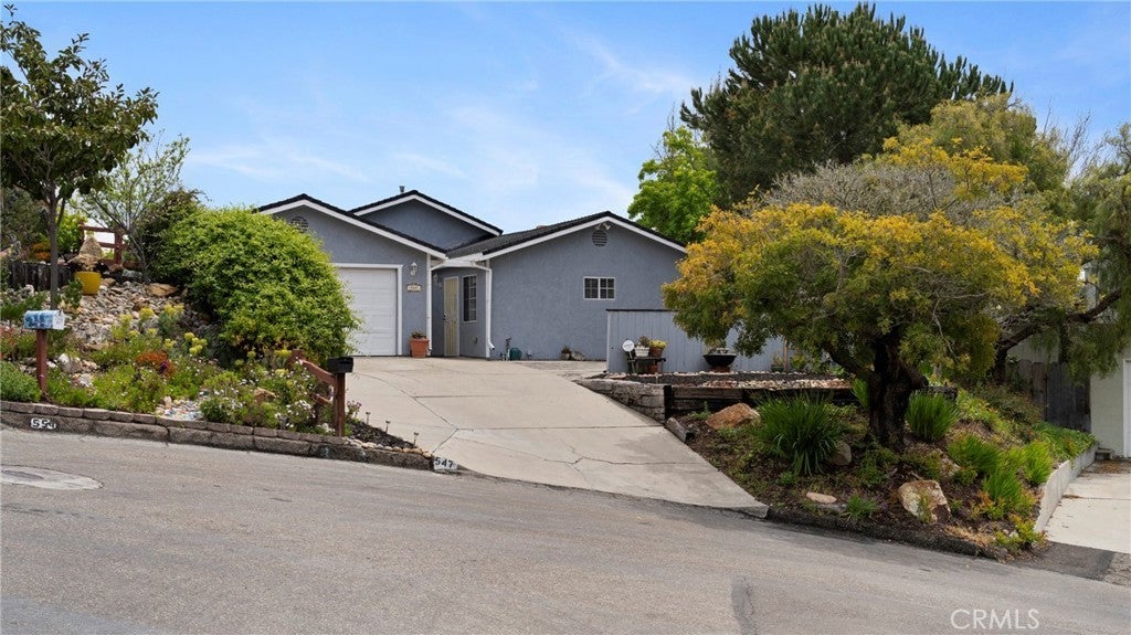 Photo of Listing #PI25096154