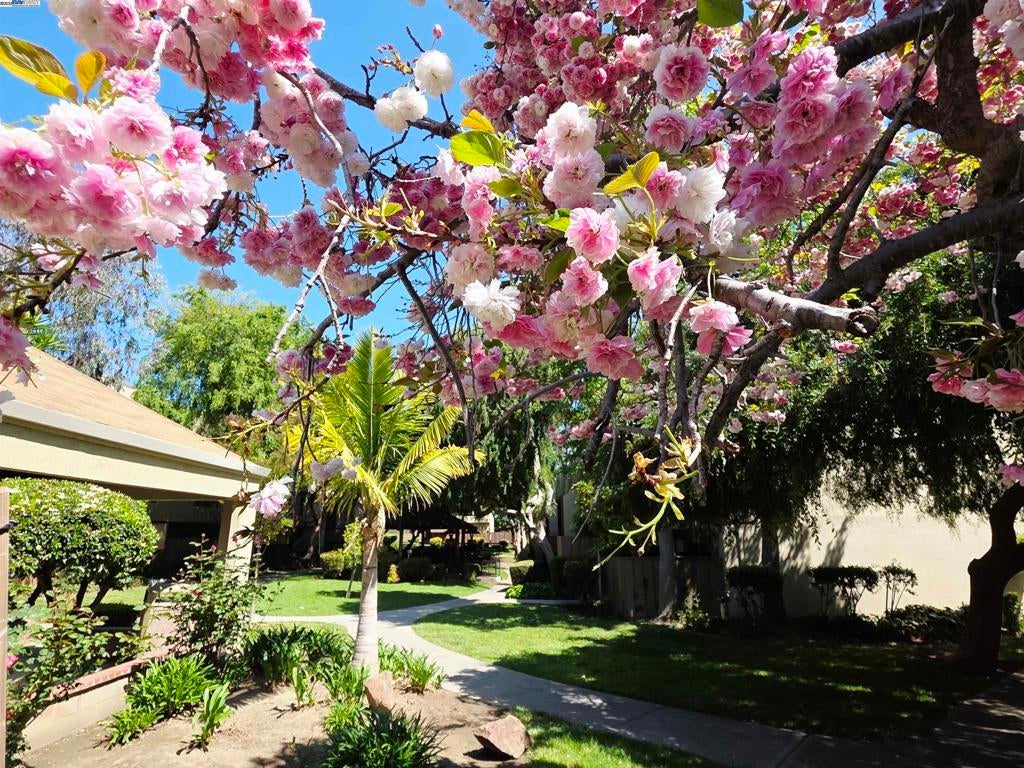 Photo of Listing #41095693