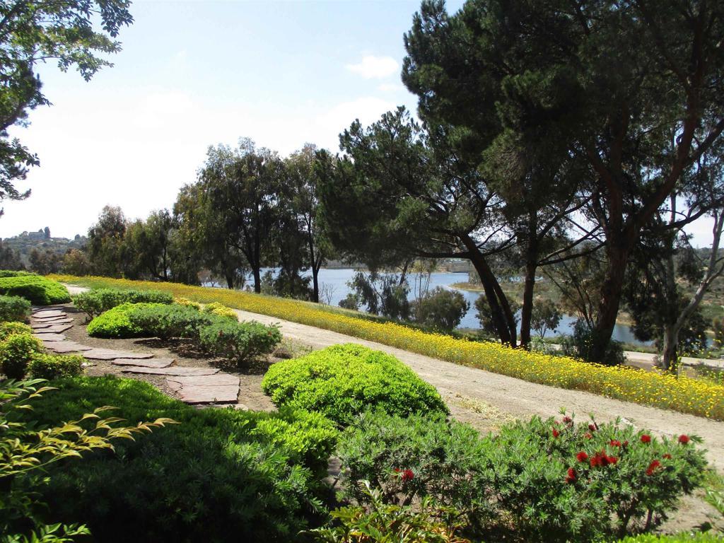 Photo of Listing #250026340SD