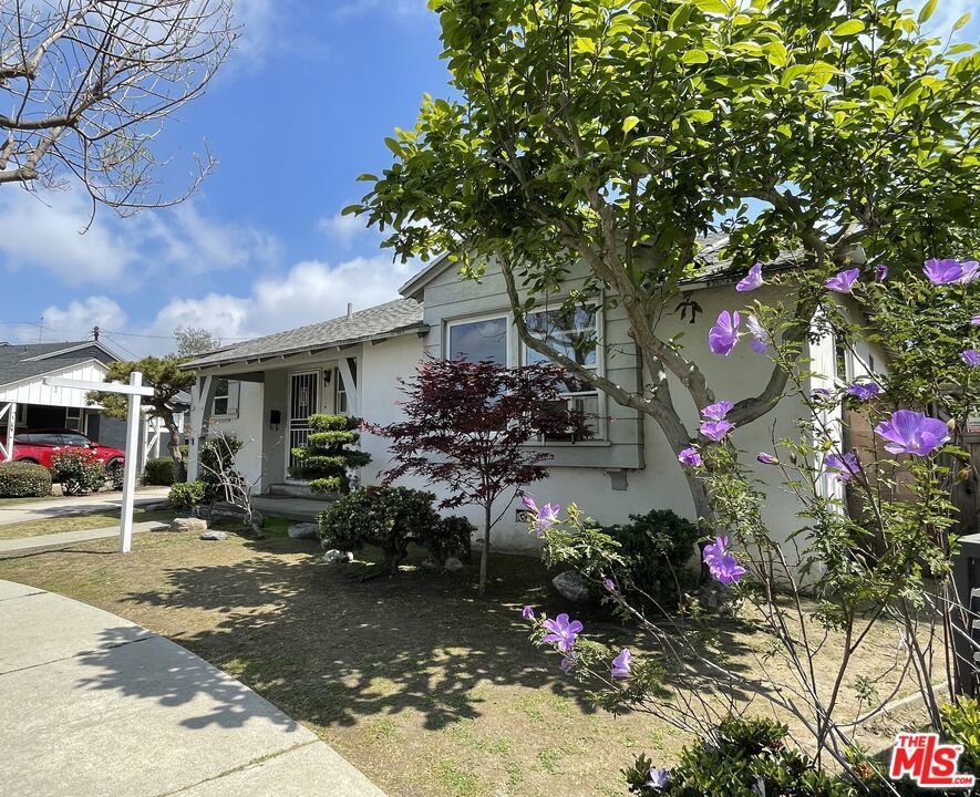 Photo of Listing #25533299