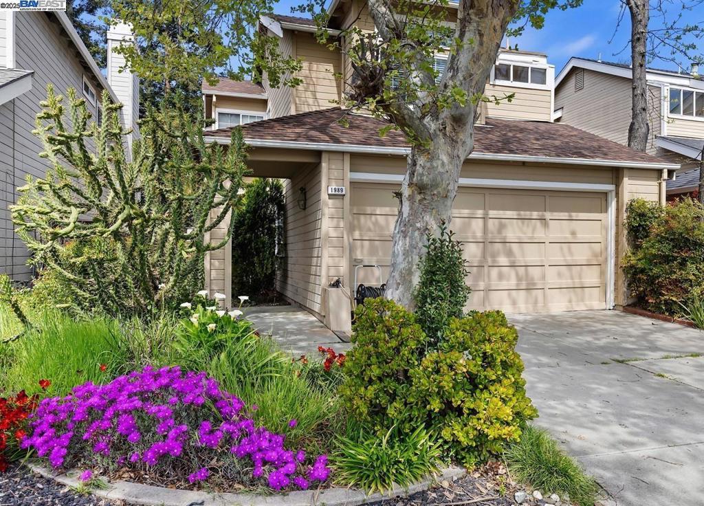 Photo of Listing #41096209