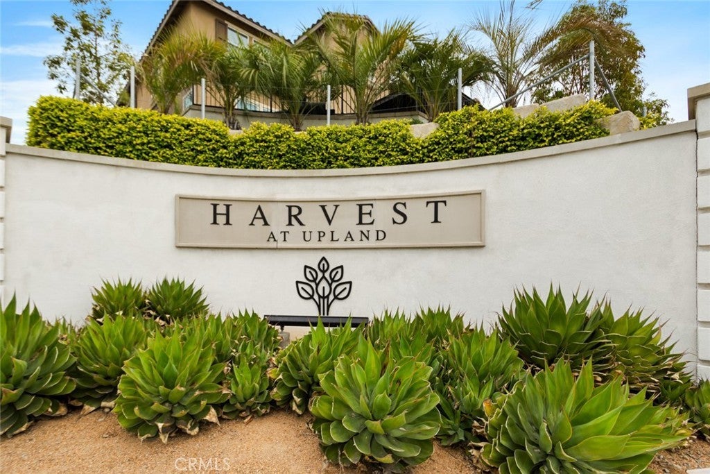 Photo of Listing #CV25061839