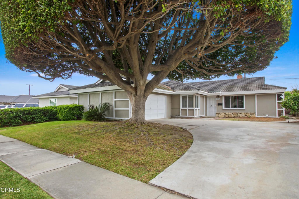 Photo of Listing #P1-22111