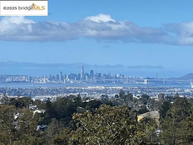 Photo of Listing #41096818