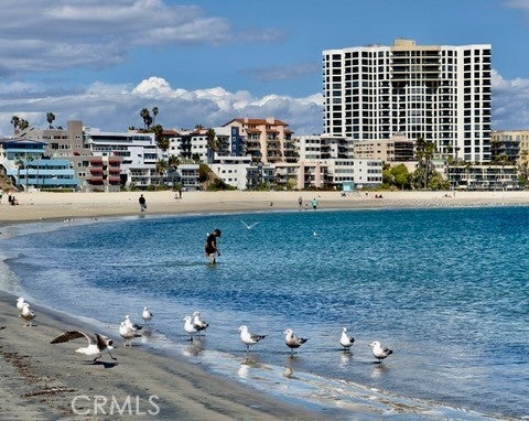 Photo of Listing #OC25083927