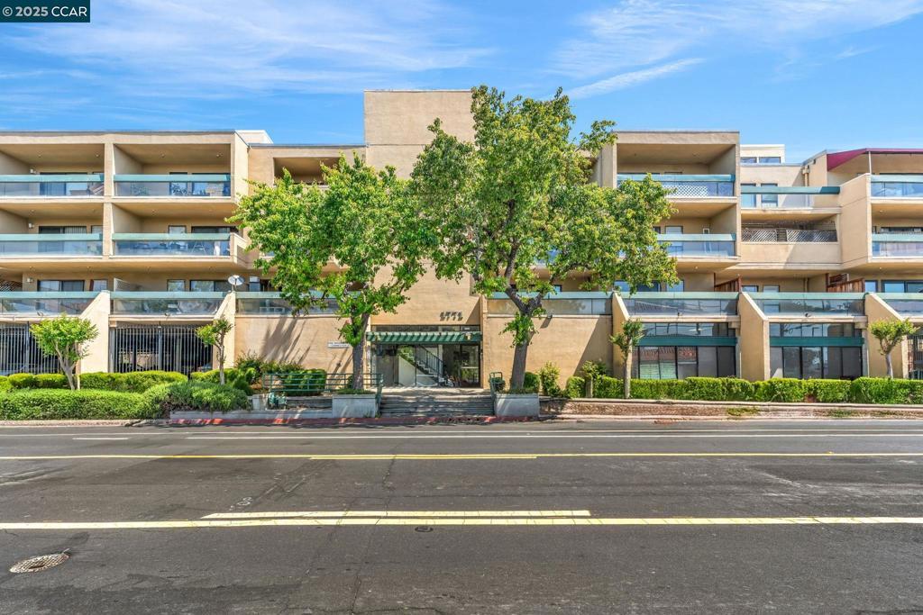 Photo of Listing #41097186