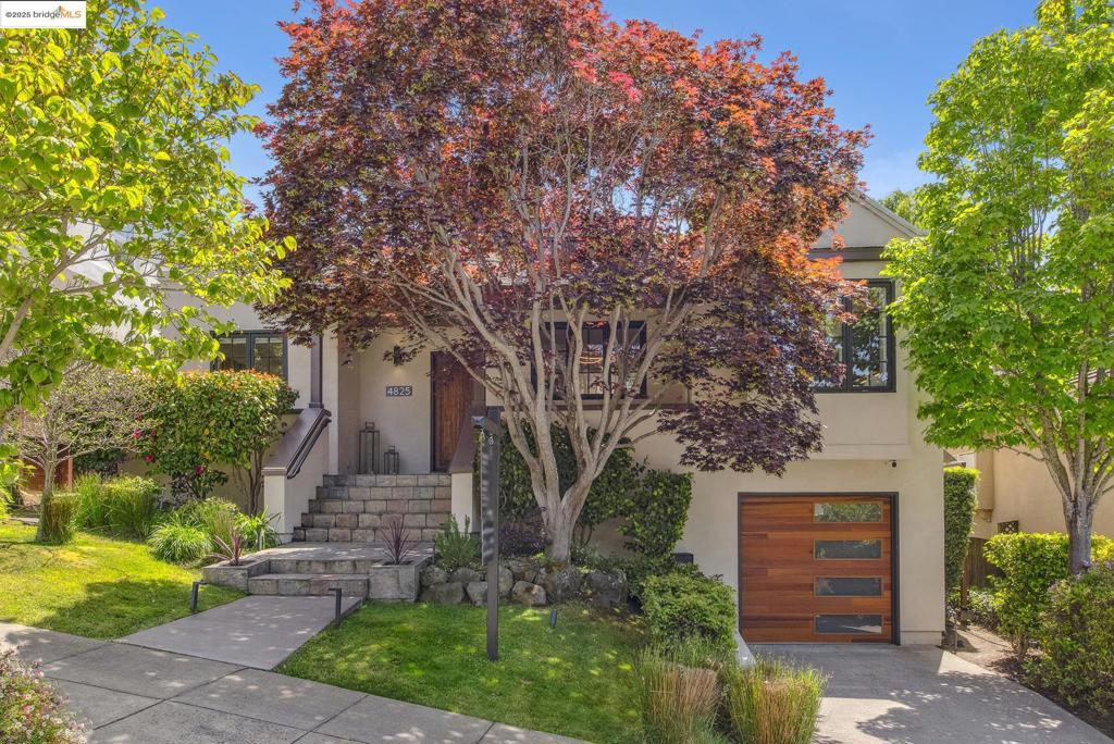 Photo of Listing #41097533