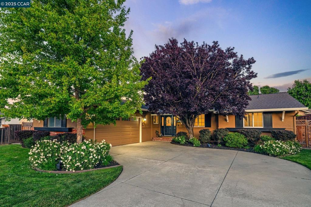 Photo of Listing #41097539