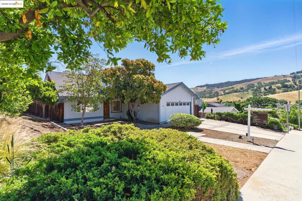 Photo of Listing #41097740