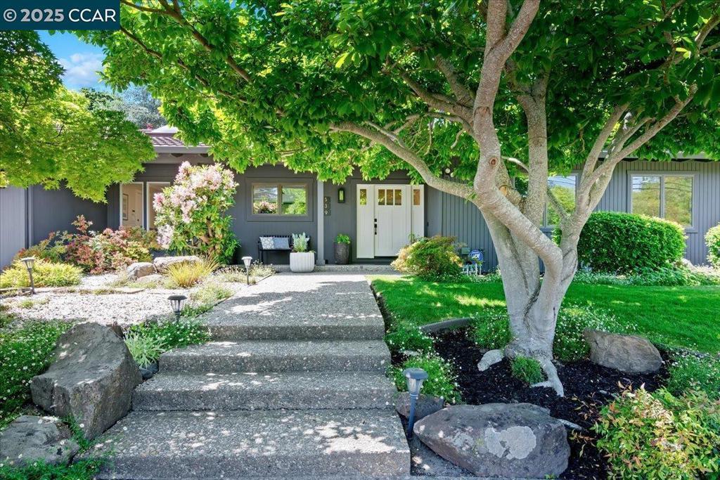 Photo of Listing #41097840