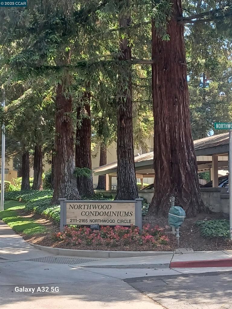 Photo of Listing #41097849