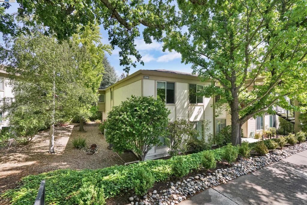 Photo of Listing #41097882