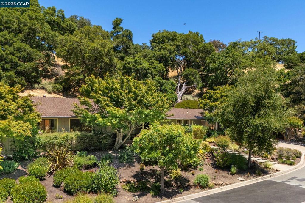 Photo of Listing #41098196