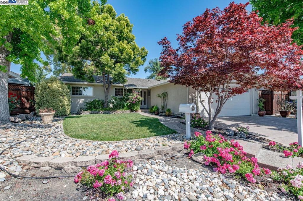 Photo of Listing #41098279