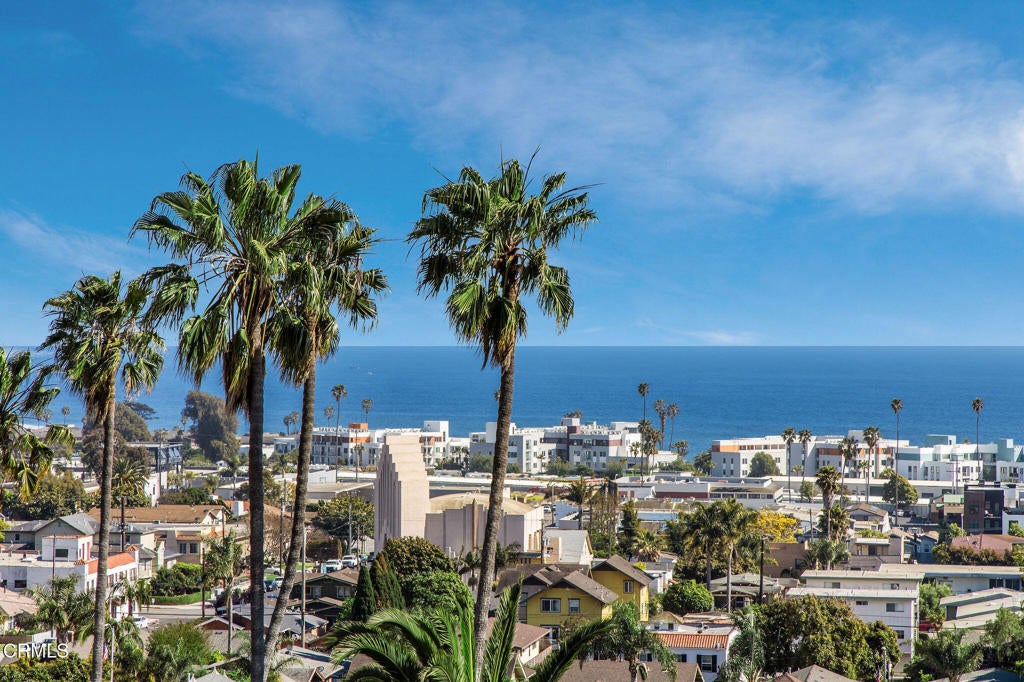 Photo of Listing #V1-30091