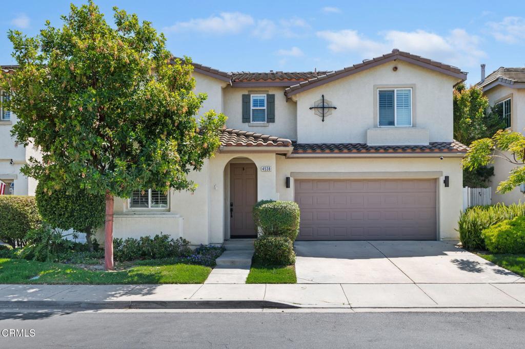 Photo of Listing #V1-30101