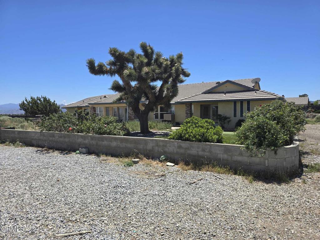 Photo of Listing #P1-22373