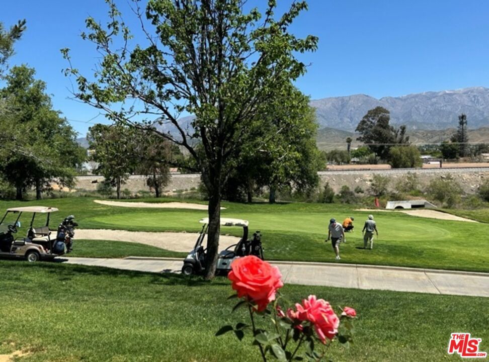 Photo of Listing #25541963