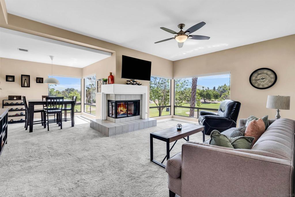 Photo of Listing #250028425SD