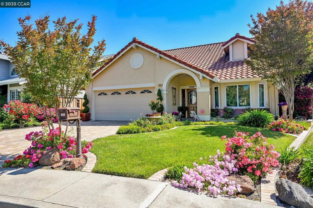 Photo of Listing #41098858