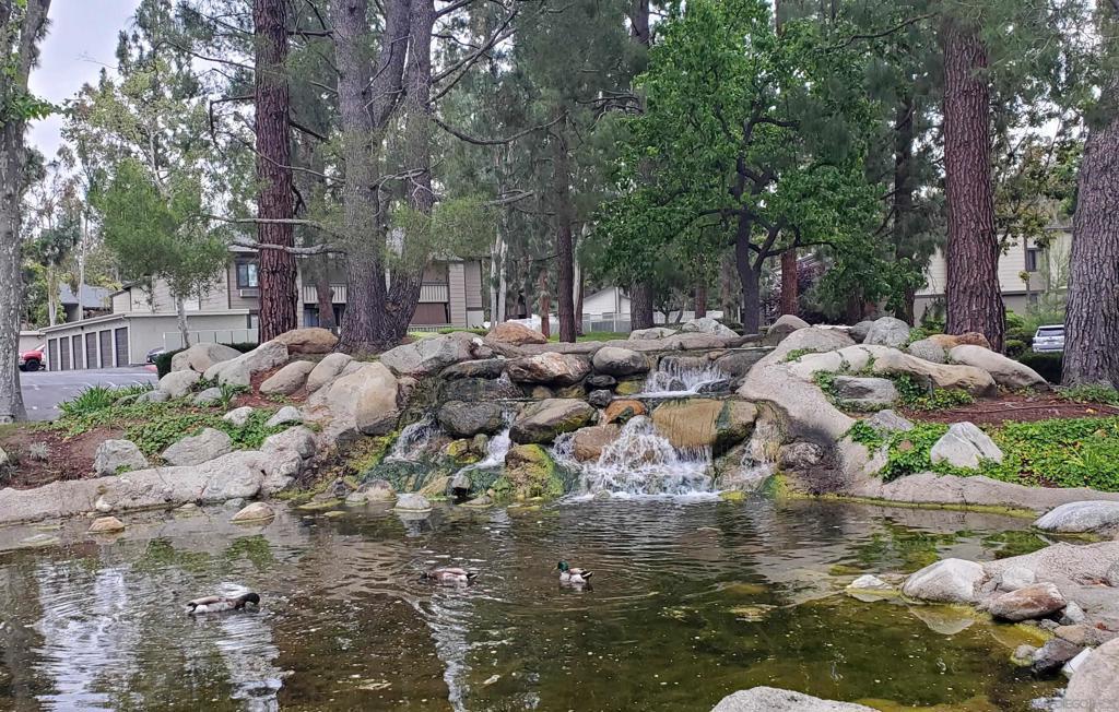 Photo of Listing #250028491SD