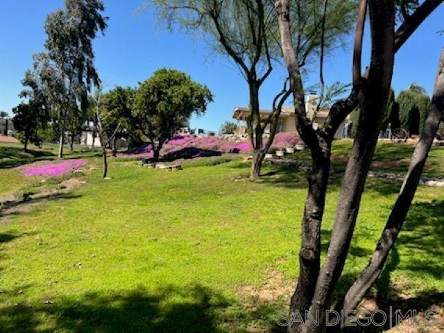 Photo of Listing #250028508SD