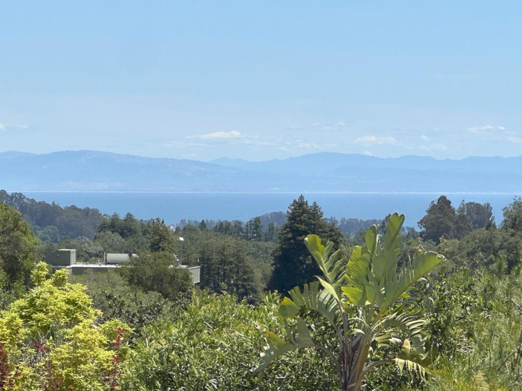 Photo of Listing #ML82008489