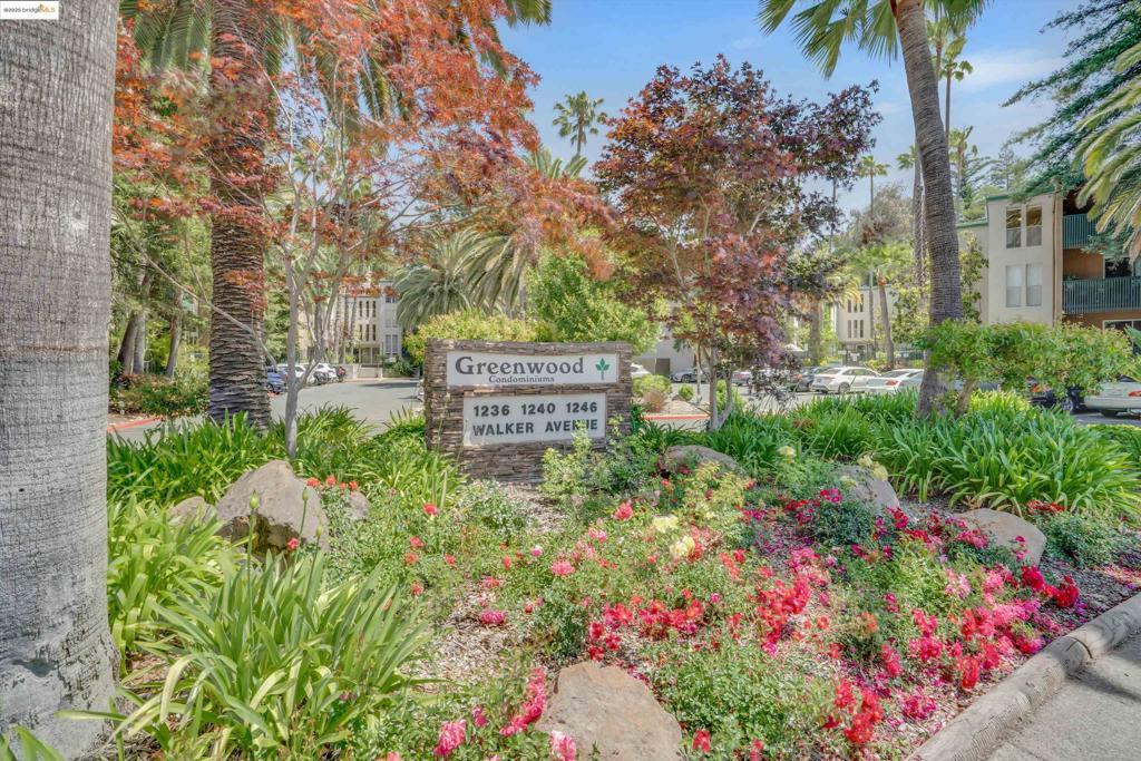 Photo of Listing #41099251