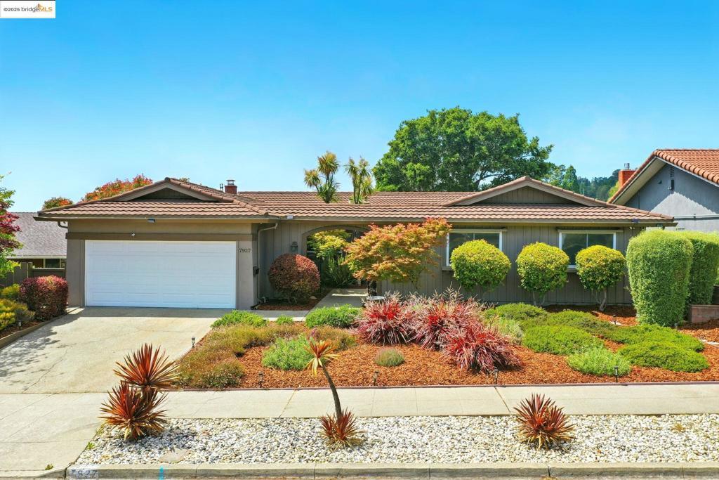 Photo of Listing #41099290