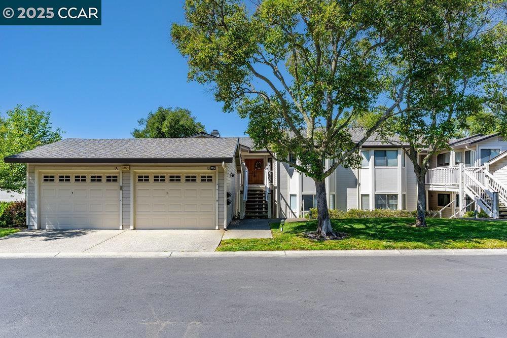 Photo of Listing #41099565