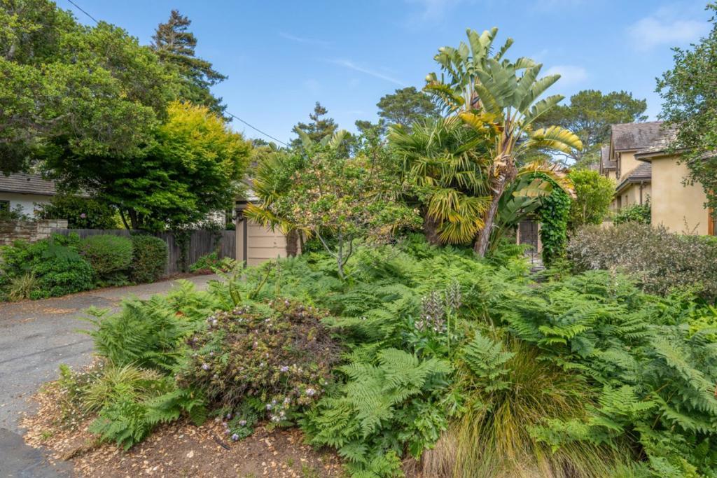 Photo of Listing #ML82009116